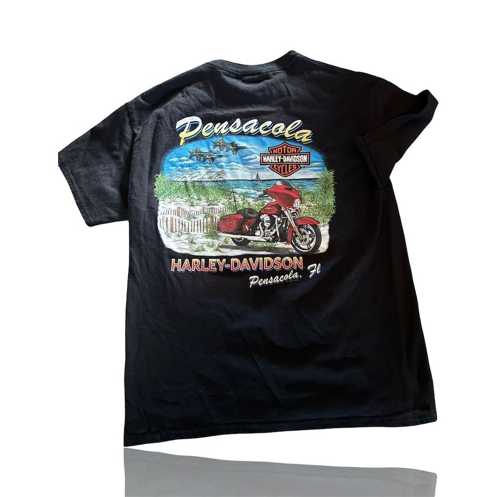 Harley-Davidson Men's Large Black Pensacola FL Graphic T-Shirt: Blue Angels